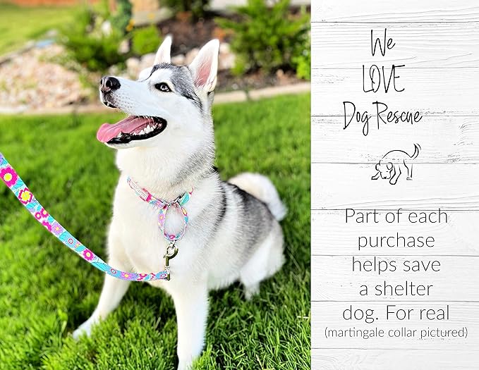 Lucky Love Dog Martingale Collar, Premium No Slip Martingale Collar for Large Dogs, Great for Whippets, Greyhounds, and More (Caroline, Large)