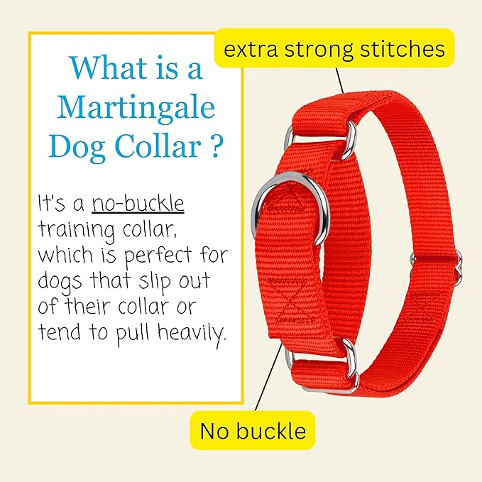 Country Brook Petz - Martingale Dog Collar - Heavy-Duty Training Collar with No Buckle - Service Dog Collar for All Pups - 10+ Warm Colors (Hot Orange, 1 Inch, Extra Large)