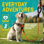 No Pull Dog Harness and Leash Set for Large Dogs – Adjustable Reflective Breathable Soft Padded Easy Control Dog Harness for Training & Walking, Orange (Large)
