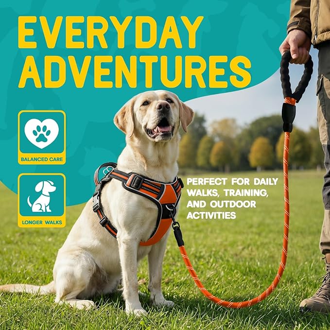 No Pull Dog Harness and Leash Set for Large Dogs – Adjustable Reflective Breathable Soft Padded Easy Control Dog Harness for Training & Walking, Orange (Large)