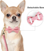 Beirui Adorable Small Dog Harness Collar and Leash Set,Cute XXS Puppy Harness Set with 3 Bows for Tiny Dogs,Chihuahua,Adjustable Step-in Vest for Daily Walking,Parties&Holiday Outfits(Pink,XXS)