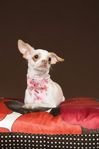 Elegant Little Tail Bandana for Boy Girl Small Medium Large Dogs, Comfortable Bibs Scarf, Adjustable Square Kerchief