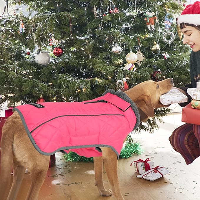 Fragralley Dog Coat Large, Waterproof Dog Jacket with Warm Fleece Lining, Adjustable Reflective Dogs Winter Coat, Turtleneck Pet Coats for Cold Weather (Pink L)