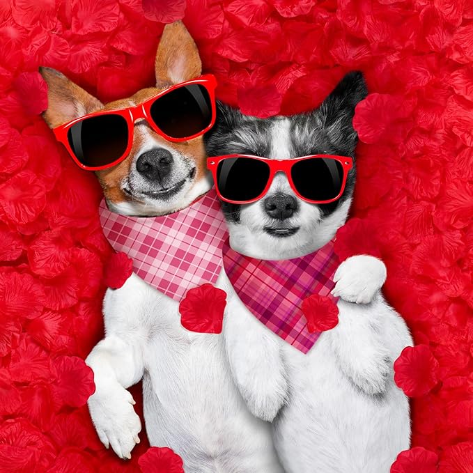 Abbylike 50 Pcs Valentines Day Plaid Dog Bandanas Bulk Pink Red Bandanas for Dogs Triangle Kerchief Bibs Scarf for Pet Romantic Costume Photo Props Accessories Pet Shops Groomers (25.6 x 17.7 x 17.7)