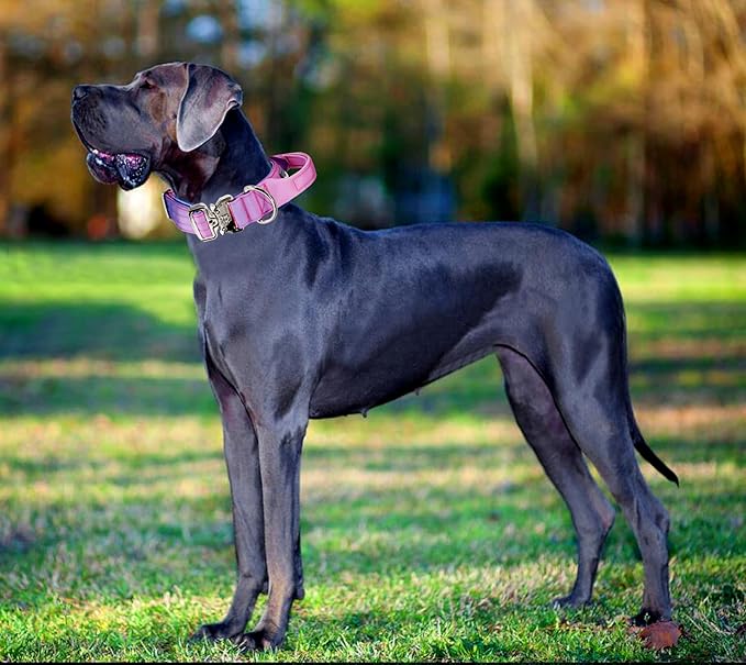 Tactical Dog Collar, 1.5" Wide Thick Heavy Duty Dog Collar with Handle, Soft Neoprene Padded Military-Grade Nylon Training Collar with Quick Release Metal Buckle for Large Dogs (Pink, L,XL)