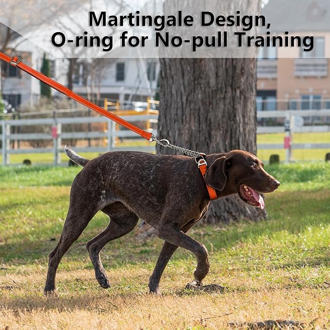 Plutus Pet Martingale Dog Collar with Stainless Steel Chain and Reflective Nylon, Adjustable No Pull Training Collar, for Small Medium, and Large Dogs, Orange, L