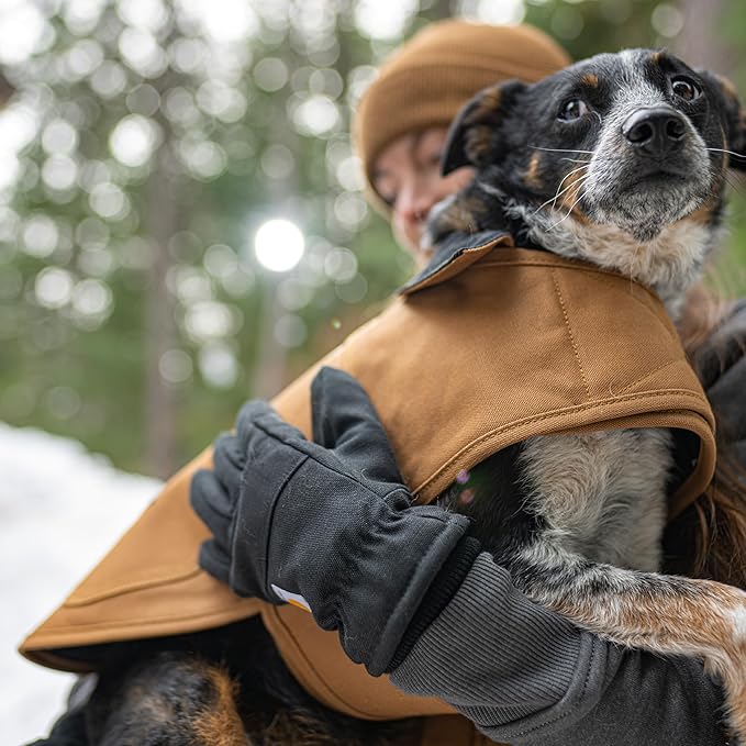 Carhartt Firm Duck Insulated Dog Chore Coat, Durable Weather Resistant Jacket for Cold and Windy Conditions, Deep Wine, Medium