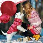Winter Warm Dog Jacket for Small Medium Dogs Cat Cold Weather Coats with Harness Paded Dogs Fleece Vest Waterproof Windproof Dog Snow Jacket Pet Puppy Clothes (Wine red,XL)