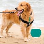 PetBonus Dog Collar Safety Clip, Waterproof Backup Safety Strap for Dog Harness to Prong Collar, Odor Proof Double Ended Clasp Leash Connector for Training Walking (Green)