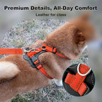Plutus Pet Adjustable No Pull Dog Harness with Leather Accents, Heavy Duty Reflective Nylon Vest for Training, Hiking, Easy Walk Harness for Small, Medium, Large Dogs (Orange, L)