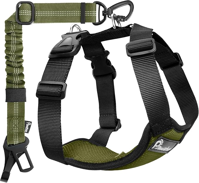 Pawaboo Dog Seat Belt Harness for Car, Dog Car Harness Seatbelt with Double Clips, Adjustable Breathable Pet Vest & Dogs Safety Tether with Elastic Bungee for Small Medium Large Pet, XXL,Green + Black