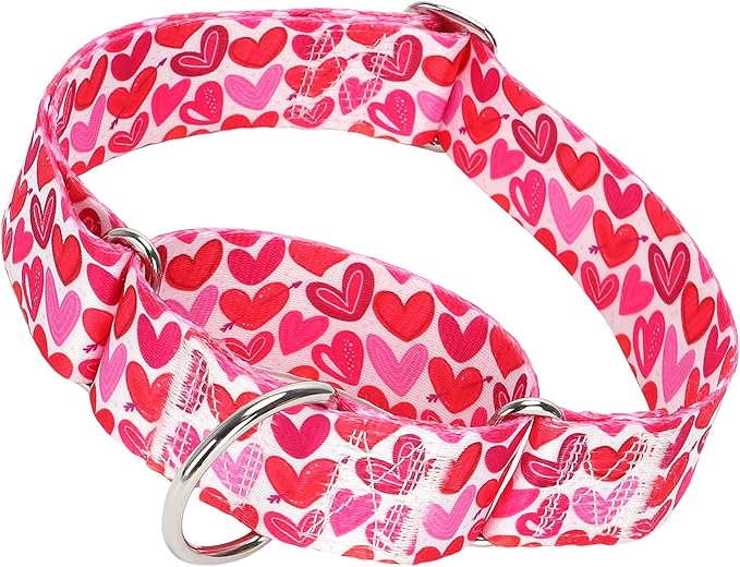 1.5 inch Wide Martingale Dog Collar,Valentine's Day Dog Collar Cute Loving Heart Printed Collar for Medium Large Extra Large Dogs M