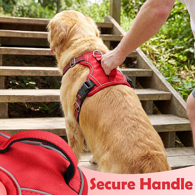 Funfox Dog Harness No Pull, Adjustable Pet Vest Harness, Super Soft Material with Vertical Handle Easy Control, Reflective Night Walking, 2 Leash Clips for Medium Sized Dogs, Red, M