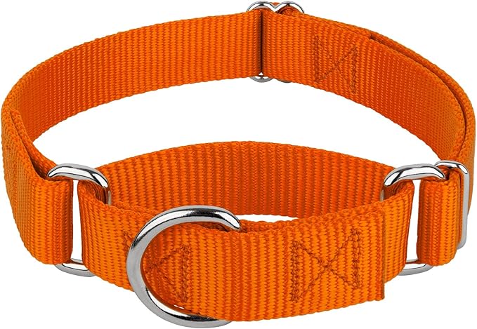 Country Brook Petz - Martingale Dog Collar - Heavy-Duty Training Collar with No Buckle - Service Dog Collar for All Pups - 10+ Warm Colors (Orange, 5/8 Inch, Extra Small)