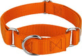 Country Brook Petz - Martingale Dog Collar - Heavy-Duty Training Collar with No Buckle - Service Dog Collar for All Pups - 10+ Warm Colors (Orange, 1 Inch, Extra Large)