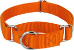 Country Brook Petz - Martingale Dog Collar - Heavy-Duty Training Collar with No Buckle - Service Dog Collar for All Pups - 10+ Warm Colors (Orange, 3/8 Inch, 3XS)