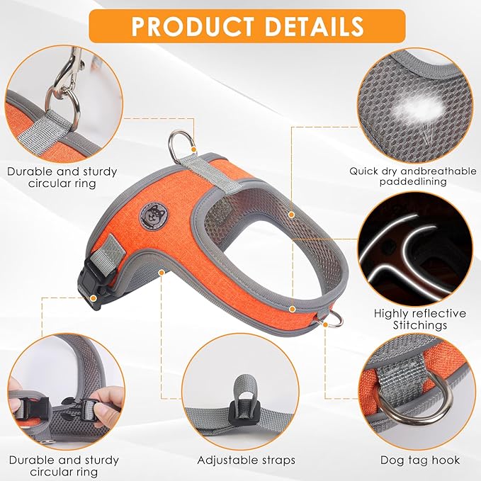 Dog Harness and Leash Set, No Pull Saddle Style Pet Harness, Breathable Mesh Adjustable Reflective Dog Vest for Dogs and Cat Medium Small Harness 2 D-Rings (Orange, L)