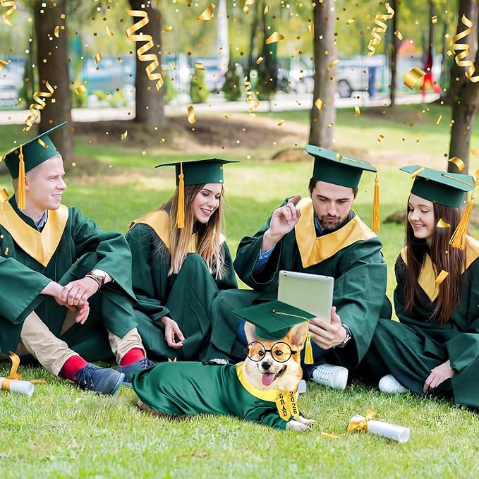 5 Pcs Dog Graduation Costume Set Include 2026 Pet Graduation Gown with Stole Puppy Grad Cap Lensless Glasses DIY Letter Stickers for Dogs Cats Holiday Costume Accessory(Green Yellow,M)