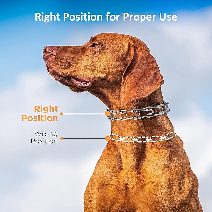 Dog Prong Collar,Dog Pinch Collar with Quick Release Buckle,No Pull Choke Collar Detachable Adjustable,Metal Easy Buckle Release Middle Large Dog Training Collar
