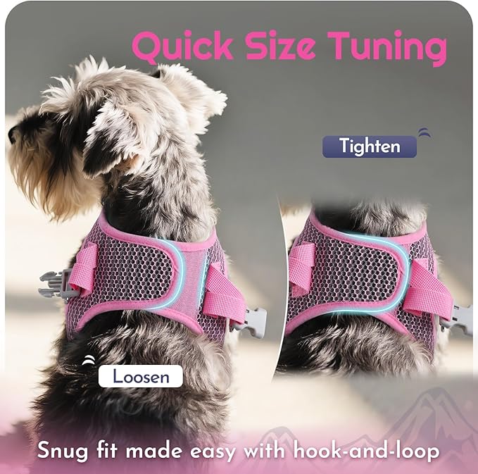 Eagloo Small Dog Harness and Leash Set, Step in Puppy Vest with Breathable Soft Mesh, Walking Reflective Pet Harness for Medium Small Dogs, Pink, L