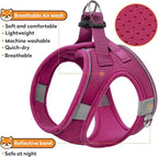Dog Harness with Leash Set, No-Pull Step-in Reflective Pet Harness with 1 Leash Clips, Adjustable Soft Padded Easy Walk Dog Vest for Small Medium Large Dogs, Cats(Rose Red, XXSmall)