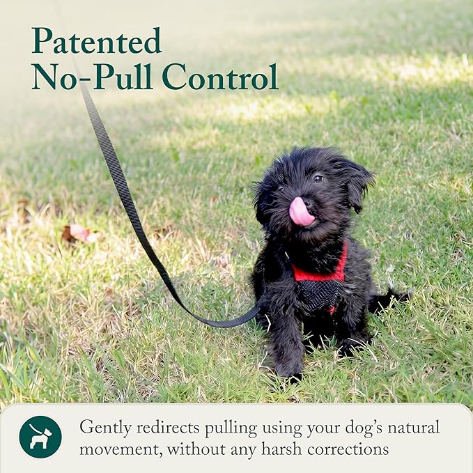 SPORN! Nylon Non Pulling Dog Harness, Small, Red