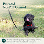 SPORN! Nylon Non Pulling Dog Harness, Small, Red
