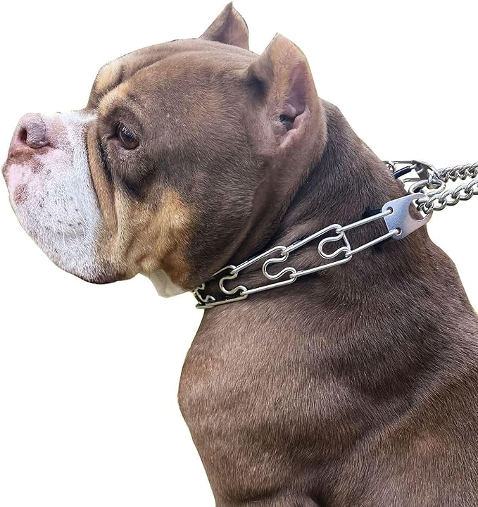 Dog Collar Fastener, Stainless Steel Buckle for Prong Training Collar & Quick Release for Medium Large Dogs (Black, S: 2.25-2.5mm)