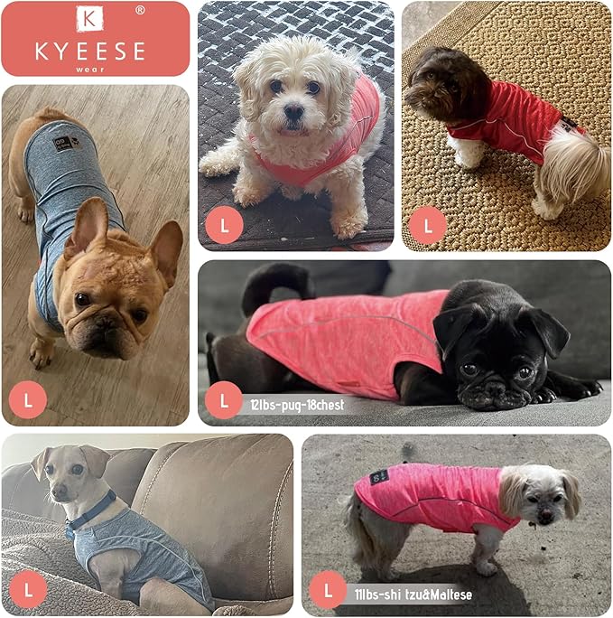 KYEESE 2Pack Reflective Dog Shirt, Lightweight Sun Protection Dog T Shirts for Small Dogs Boy, Breathable Sleeveless Pet Tank Top Summer Dogs Clothes for Night Walking Outdoor, Lake Blue+Blue, L