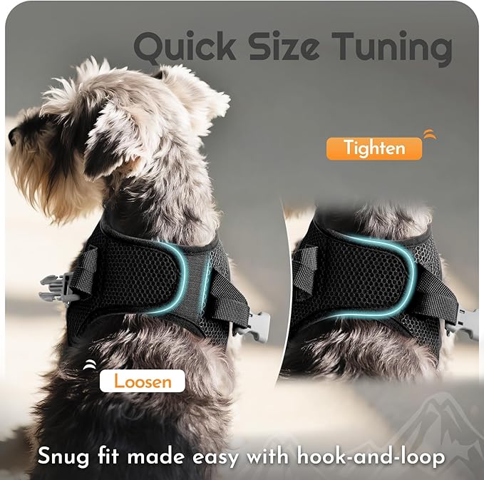 Eagloo Small Dog Harness and Leash Set, Step in Puppy Vest with Breathable Soft Mesh, Walking Reflective Pet Harness for Medium Small Dogs, Black, L