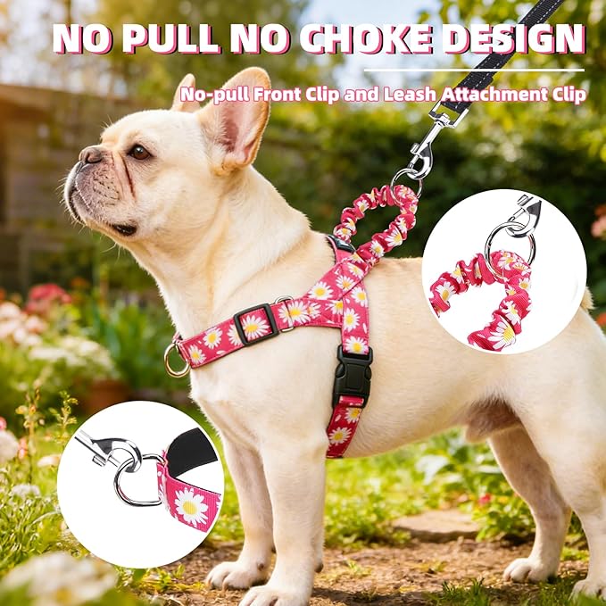PUPTECK No Pull Dog Harness Small Sized Dog, Adjustable Reflective Pet Vest Harness with Bungee Handle, Escape Proof No Choke Harness for Small Dogs Walking Training, Fuschia Daisy S