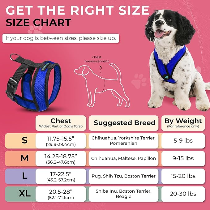 Gooby Comfort X Head in Harness - Blue, Large - No Pull Small Dog Harness, Patented Choke-Free X Frame - Perfect on The Go Dog Harness for Medium Dogs No Pull or Small Dogs for Indoor and Outdoor Use