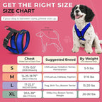 Gooby Comfort X Head In Harness - Blue, X-Large - No Pull Small Dog Harness Patented Choke-Free X Frame - Perfect on the Go Dog Harness for Medium Dogs No Pull or Small Dogs for Indoor and Outdoor Use