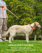 Waterproof Martingale Collar for Dogs,Easy to Clean Dog Collars with Safety Quick Release Buckle,Rubber Collar for Medium Large Dogs Walking Training (Orange, S (13.4-16.5inch))