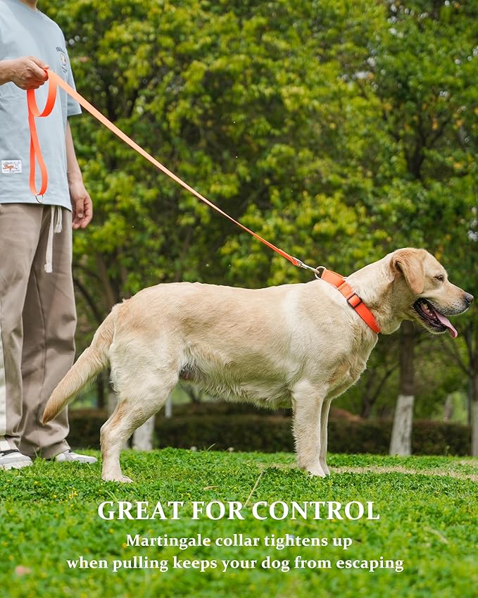 Waterproof Martingale Collar for Dogs,Easy to Clean Dog Collars with Safety Quick Release Buckle,Rubber Collar for Medium Large Dogs Walking Training (Orange, L (19.6-25.9inch))