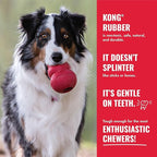 KONG Goodie Bone - Classic Durable Natural Rubber Dog Bone, Supports Mental Engagement - Treat Dispensing - Red - for Extra Large Dogs
