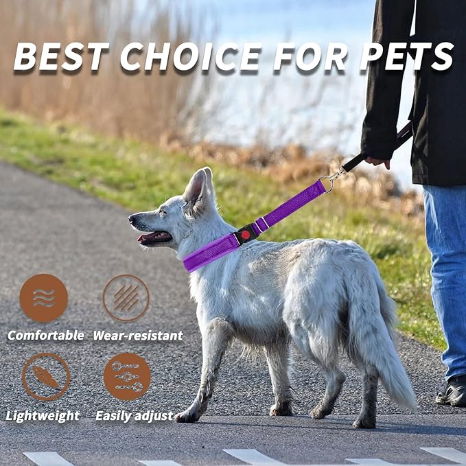 Martingale No Pull Dog Collar for Large Medium Small Dogs, Heavy Duty Nylon Reflective Adjustable Anti Pull Slip Collar with Buckle for Training Walking M Purple