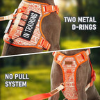Dog Harness for X-Small Dog Breed, Light Pet Vest Harness with 2 Leash Clips and 3 Buckles, Easy to Wear, Adjustable Reflective Soft Padded, Boston Terrier, Beagle, Poodles, Orange XS