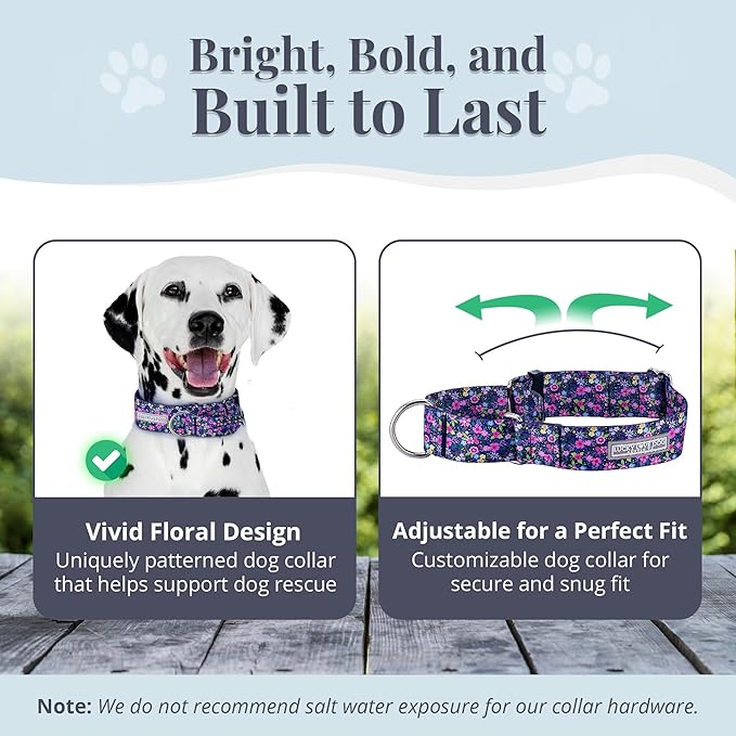 Lucky Love Dog Wide Martingale Dog Collar - No-Slip, Durable, & Soft Webbing 1.5 inch Martingale Collar for Dogs Male and Female Ideal for Training & Walking - Caroline, Medium