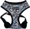 Puppia Cynthia Dog Harness A (Over-The-Head) Fashionable Paisley Pattern Spring Summer Harness for Small and Medium Dogs, Black, Small