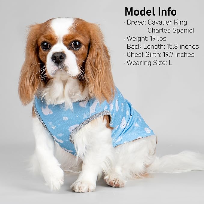 KYEESE 2Pack Dog Cooling Shirt, Breathable Dog Shirt for Small Dogs, Sun Protection Dogs Cooling Vest Tank Top, Lightweight Soft Sleeveless Summer Pet Clothes, Polar Bear+Ice, L