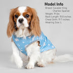 KYEESE 2Pack Dog Cooling Shirt, Breathable Dog Shirt for Small Dogs, Sun Protection Dogs Cooling Vest Tank Top, Lightweight Soft Sleeveless Summer Puppy Clothes, Polar Bear+Ice, S