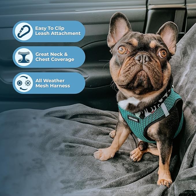 Best Pet Supplies - All Weather Mesh/Plush, Reflective, No Pull Harness for Small, Medium Dogs, Cats - Secure with Hook & Loop Fastener, Buckle, Double D-Rings - Turquoise 2-Tone, S