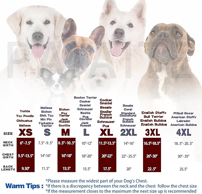 Cozy Sleeveless Canine Wear Dog Clothes, Soft, Lightweight, and Breathable Cotton Dog Shirt with I'm Mom's Favorite Print.Vest Tank Top Ideal for Small, Medium, and Large Breeds Black XL