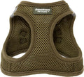 Downtown Pet Supply Step in Dog Harness for Small Dogs No Pull, Large, Hunter Green - Adjustable Harness with Padded Mesh Fabric and Reflective Trim - Buckle Strap Harness for Dogs