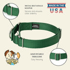 Country Brook Petz - Martingale Dog Collar - Heavy-Duty Training Collar with No Buckle - Service Dog Collar for All Pups - 10+ Cool Colors (Christmas Green, 3/4 Inch, Small)