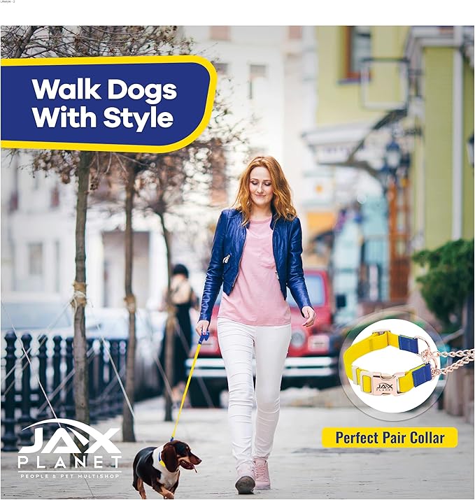 Jelly Colorful Dog Leash, Waterproof Training Leash for Walking, Hiking & Outdoor Activities, Non-Slip Grip, Anti-Odor Nylon Lead with Alloy O-Ring, Heavy Duty - M150, 5FT - Yellow & Blue