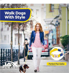 Jelly Colorful Dog Leash, Waterproof Training Leash for Walking, Hiking & Outdoor Activities, Non-Slip Grip, Anti-Odor Nylon Lead with Alloy O-Ring, Heavy Duty - M150, 5FT - Yellow & Blue