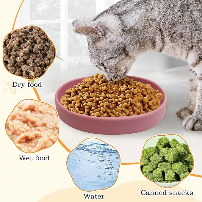 BNOSDM Silicone Cat Bowl 2 Pcs Non-Slip Cat Dish for Dry Food and Wet Food Shallow Relief Whisker Fatigue Pet Bowls Plates Set for Kittens, Small Cats and Dogs (Red)