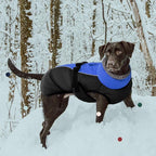 IECOii Extra Warm Reflective Adjustable Dog Jacket - Winter Coat with Buckle & Fleece Turtleneck for Small to Extra Large Dogs